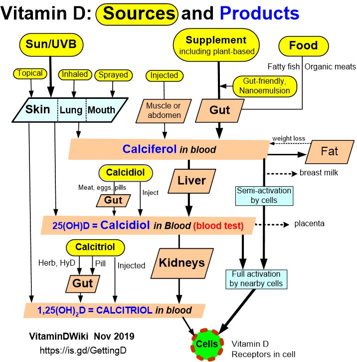 Ibs Quality Of Life Improved By Vitamin D 50000 Iu Every