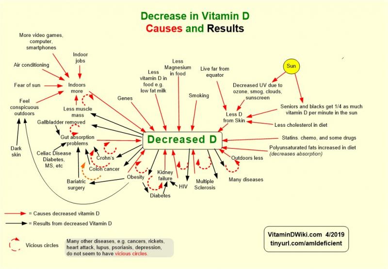 Possible Vitamin D Interactions