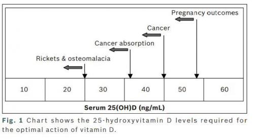 Vitamin D levels needed  at is.gd/neonate_vitD