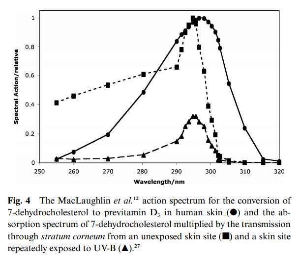 Is the UVB action spectrum for vitamin D correct no vitamin D winter
